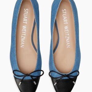 Stuart Weitzman Blue and Black Flats